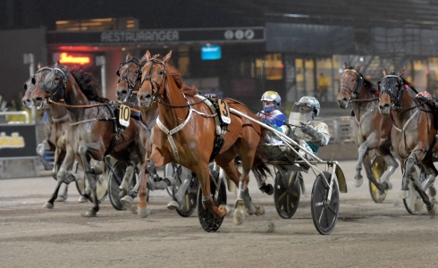 Conrads Rödluva en vinnare igen i regnet på Solvalla. Foto: Lars Jakobsson, TR Bild Foto av Lars Jakobsson, TR Bild